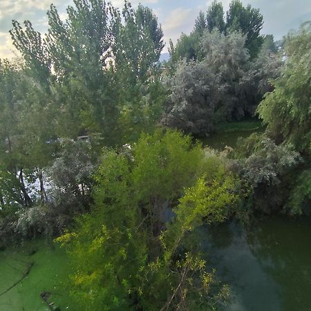 فندق The Heaven Tree Srīnagar المظهر الخارجي الصورة