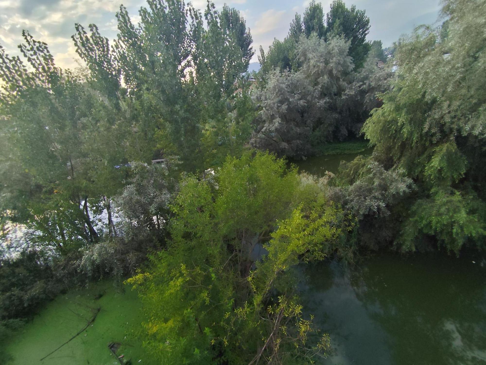 فندق The Heaven Tree Srīnagar المظهر الخارجي الصورة
